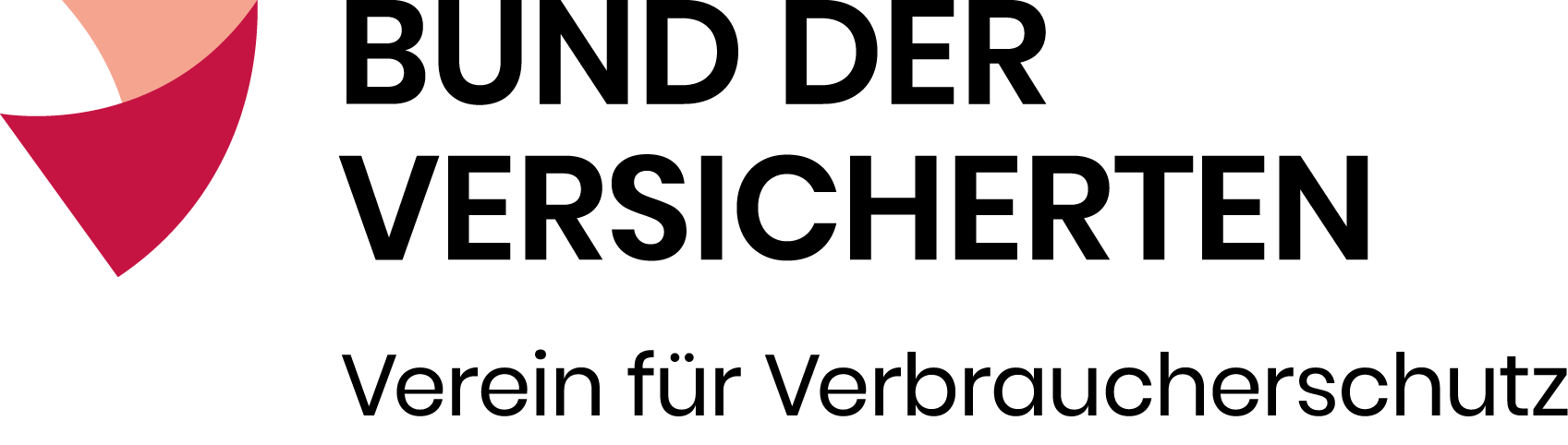 BdV Logo